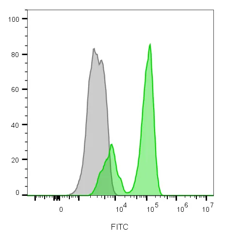 Anti-CD3e(RIV9), CF488A conjugate - image 3