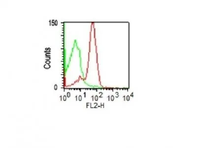 Anti-CD43(DF-T1), CF488A conjugate - image 2