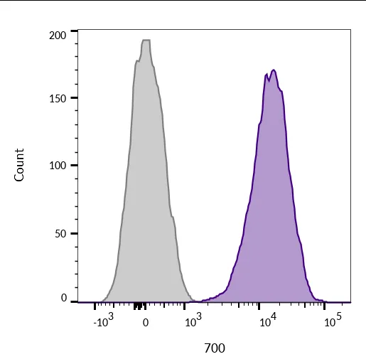 Anti-CD45 / LCA(2B11 + PD7/26), CF568 conjugate - image 3