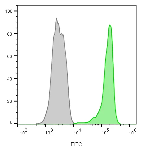 Anti-CD45 / LCA(2B11 + PD7/26), CF594 conjugate - image 4