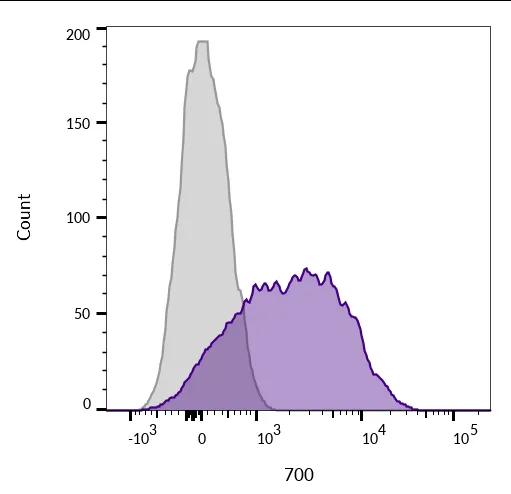 Anti-CD45 / LCA(2B11), CF568 conjugate - image 3