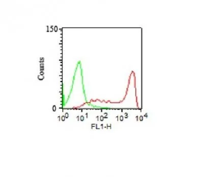 Anti-CD45RA(158-4D3) - image 2