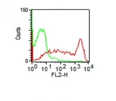 Anti-CD45RO(UCHL1 + T200/797), CF488A conjugate - image 2