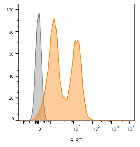 Anti-CD56 / NCAM(123C3.D5), Biotin conjugate - image 2