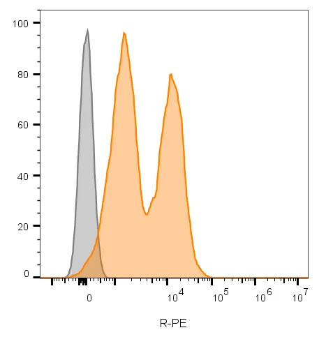 Anti-CD56 / NCAM(123C3.D5 + 123A8), CF640R conjugate - image 3
