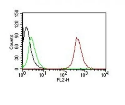 Anti-CD63(NKI-C3) - image 4