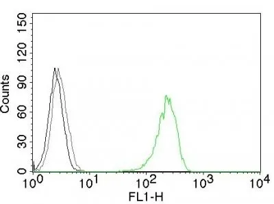 Anti-CD71(DF1513), CF640R conjugate - image 1