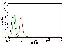 Anti-Cyclin D1(DCS-6), CF640R conjugate - image 2