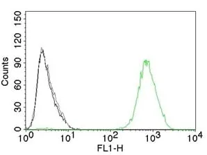 Anti-EGFR(GFR450), Biotin conjugate - image 2