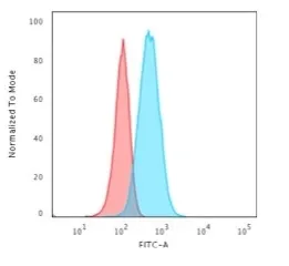 Anti-GFAP(GA-5), CF770 conjugate - image 4