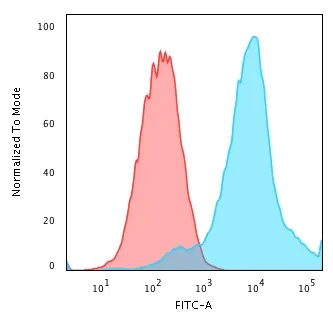 Anti-HSP27(G3.1), CF647 conjugate - image 4