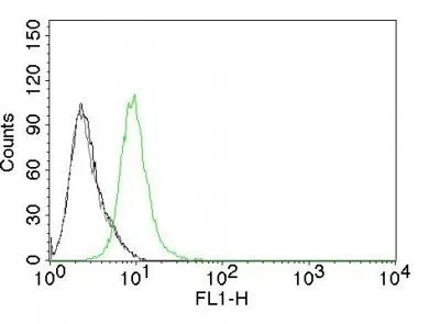 Anti-p27 / KIP1(KIP1/769), CF405S conjugate - image 4