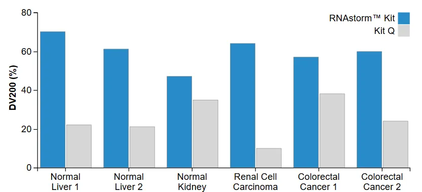 CELLDATA RNAstorm™ 2.0 MagBead FFPE RNA Extraction Kit, 96 preps - image 4