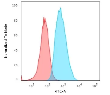 Anti-S100A4 (Marker of Tumor Metastasis) (S100A4/1481), CF568 conjugate - image 7