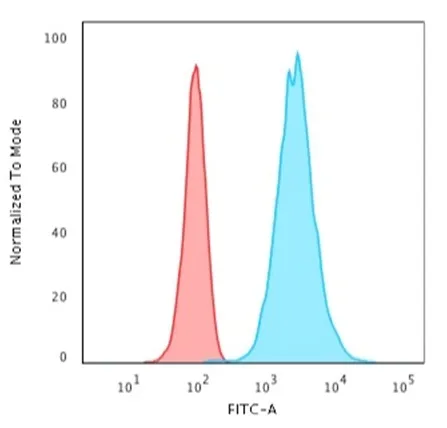 Anti-Cytokeratin 18 (KRT18) (KRT18/2808R) - image 3