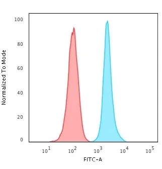 Anti-Ki-67 (Proliferating Cell Marker) (MKI67/2462) - image 6