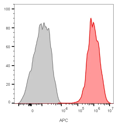 Anti-CD81 / TAPA-1 (rC81/3442), CF740 conjugate - image 3