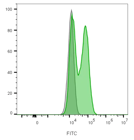 Anti-CD56 / NCAM1 / NKH1 (Neuronal Cell Marker) (NCAM1/2217R), CF488A conjugate - image 3