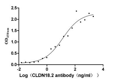 Claudin-18.2 Recombinant Monoclonal Antibody - image 2