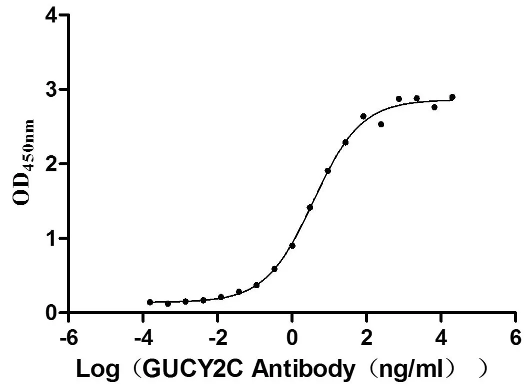 Recombinant Human Heat-stable enterotoxin receptor (GUCY2C) , partial (Active) - image 1