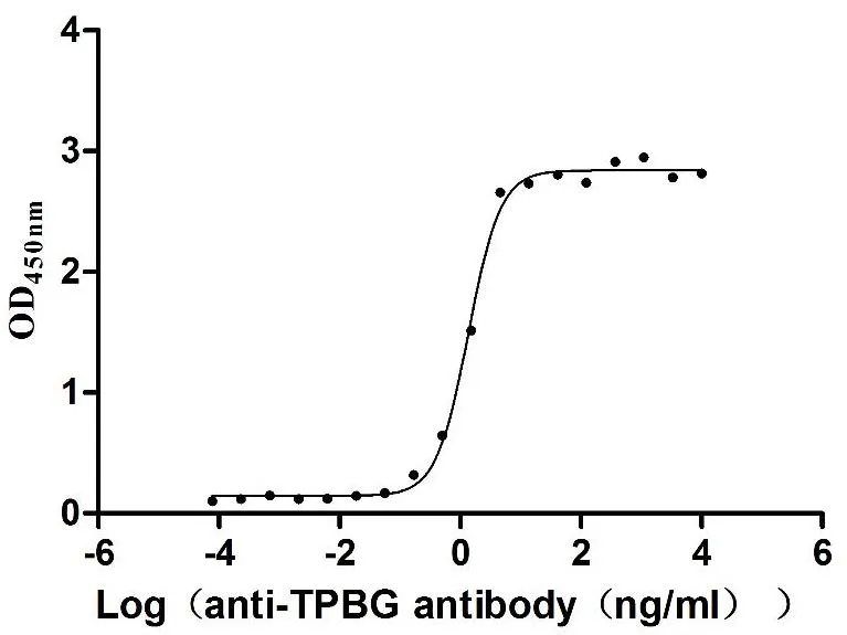 Recombinant Human Trophoblast glycoprotein (TPBG) , partial (Active) - image 1