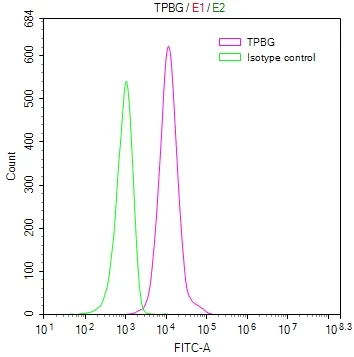 TPBG Recombinant Monoclonal Antibody - image 1