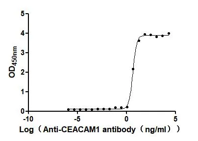 CEACAM1 Recombinant Monoclonal Antibody - image 1