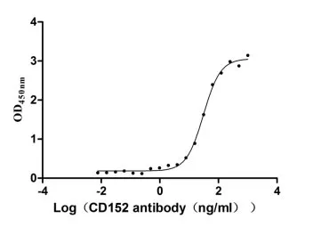 Recombinant Human Cytotoxic T-lymphocyte protein 4 (CTLA4) , partial (Active) - image 1