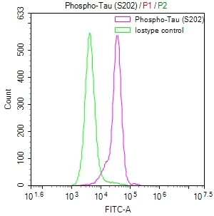 Phospho-MAPT (S202) Recombinant Monoclonal Antibody - image 1