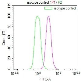 LDHC Recombinant Monoclonal Antibody - image 1