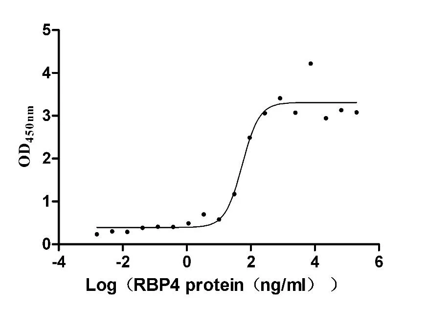 Recombinant Mouse Retinol-binding protein 4 (Rbp4) (Active) - image 1