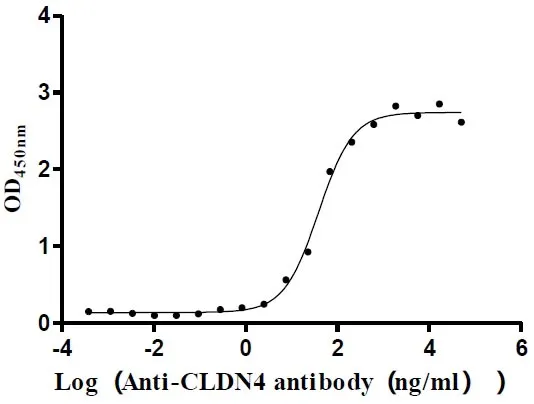 Recombinant Human Claudin-4 (CLDN4) -VLPs (Active) - image 1