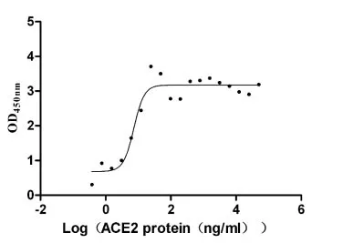Recombinant Macaca fascicularis Angiotensin-converting enzyme (ACE2) , partial (Active) - image 1