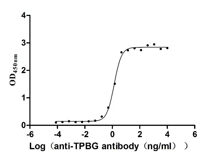 TPBG Recombinant Monoclonal Antibody - image 1