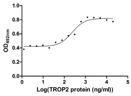 Recombinant Human Tumor-associated calcium signal transducer 2 (TACSTD2) , partial (Active) - image 1