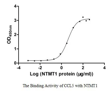Recombinant Human N-terminal Xaa-Pro-Lys N-methyltransferase 1 (NTMT1) (Active) - image 1