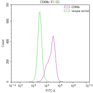 CEACAM8 Recombinant Monoclonal Antibody - image 1
