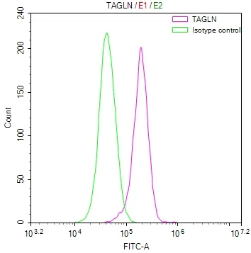TAGLN Recombinant Monoclonal Antibody - image 1