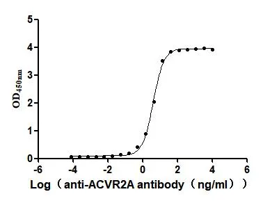 Recombinant Human Activin receptor type-2A (ACVR2A) , partial (Active) - image 1