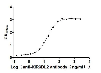 KIR3DL2 Recombinant Monoclonal Antibody - image 1