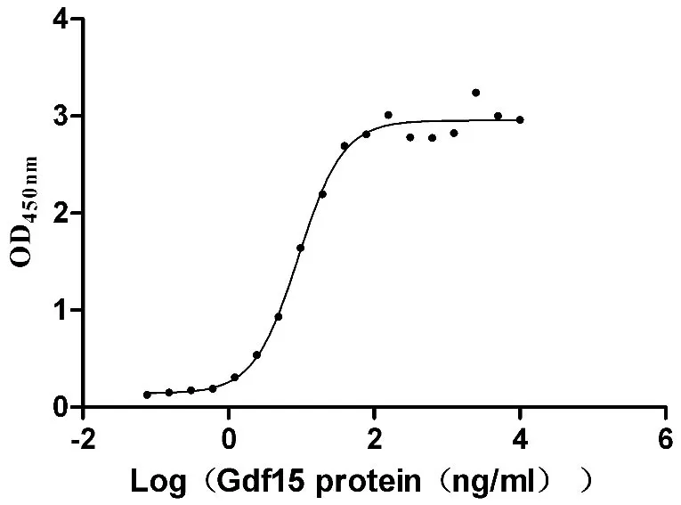 Recombinant Mouse GDNF family receptor alpha-like (Gfral) , partial (Active) - image 1