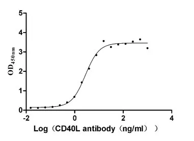 Recombinant Human CD40 ligand (CD40LG) , partial (Active) - image 3