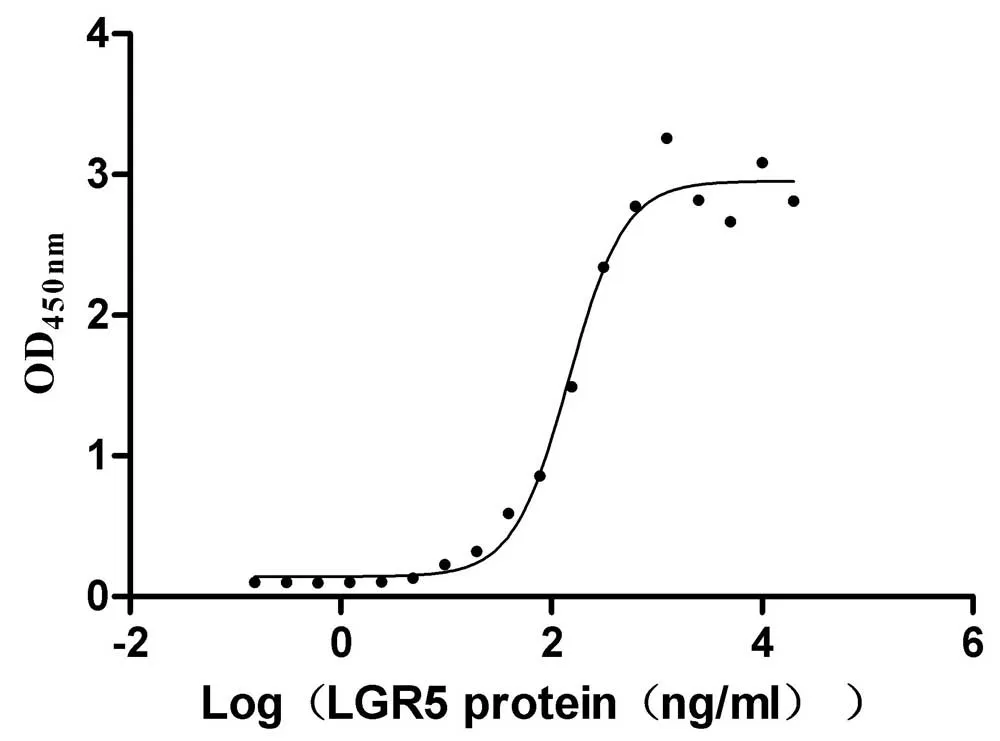 Recombinant Human R-spondin-1 (RSPO1) , partial (Active) - image 1