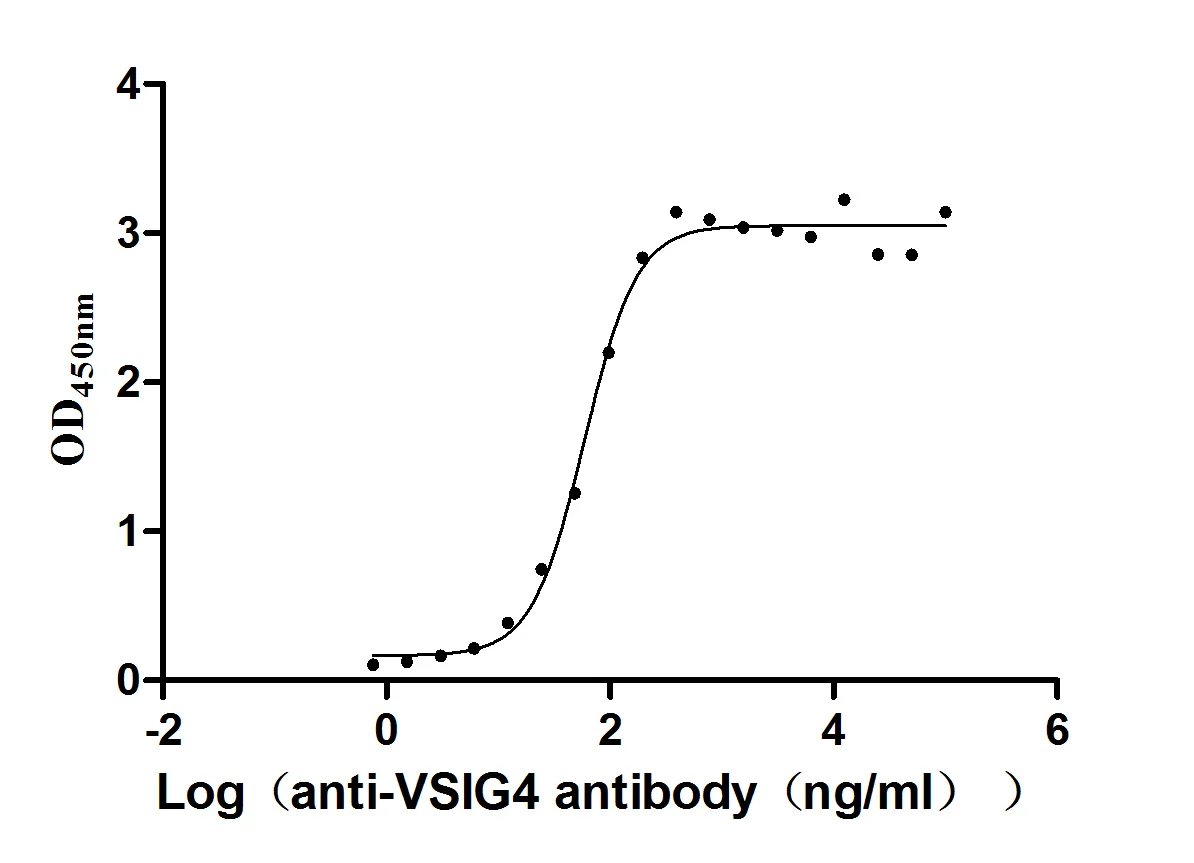 VSIG4 Recombinant Monoclonal Antibody - image 1