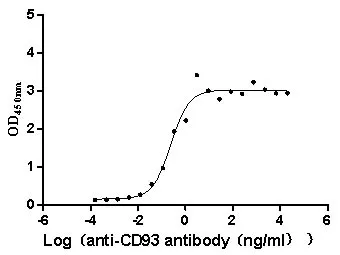 Recombinant Macaca fascicularis CD93 molecule (CD93) , partial (Active) - image 1