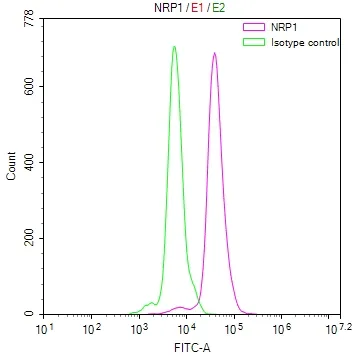 NRP1 Recombinant Monoclonal Antibody - image 1