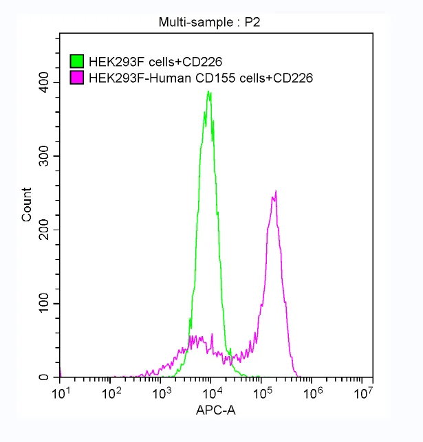 Recombinant Human CD226 antigen (CD226) , partial (Active) - image 1