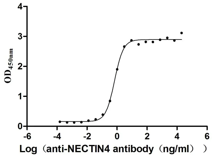 Recombinant Human Nectin-4 (NECTIN4) , partial (Active) - image 1