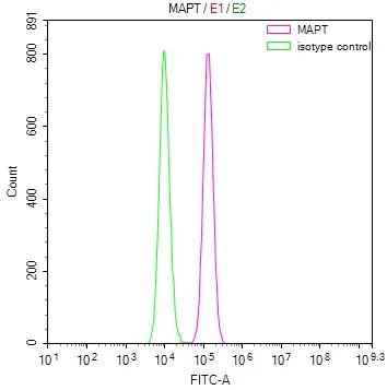 MAPT Recombinant Monoclonal Antibody - image 1