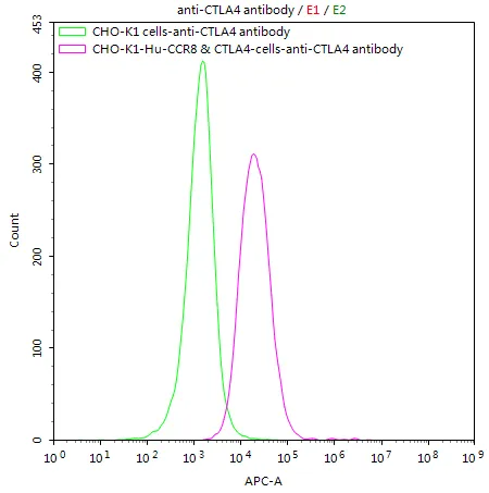 CHOK1/Human CCR8 & CTLA4 Stable Cell Line - image 1
